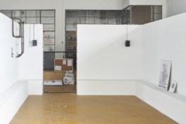 Carmen Dusmet Carrasco