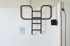 Carmen Dusmet Carrasco