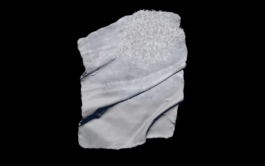 Carmen Dusmet Carrasco