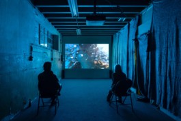 Carmen Dusmet Carrasco